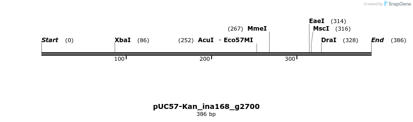 230978_map