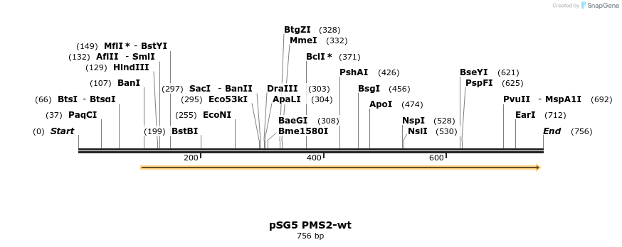 23098_map
