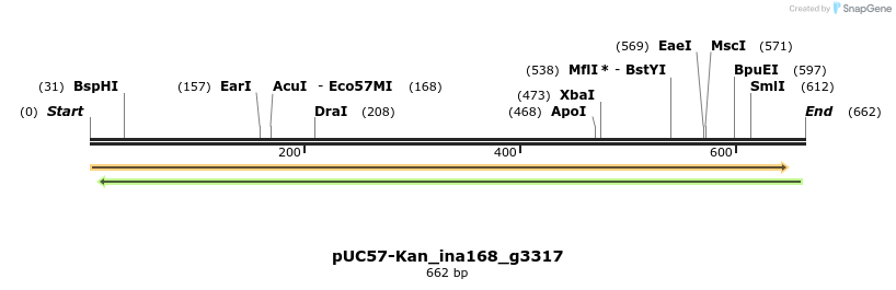 230980_map