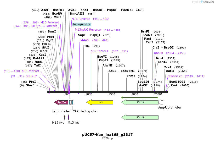 230981_map