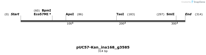 230982_map