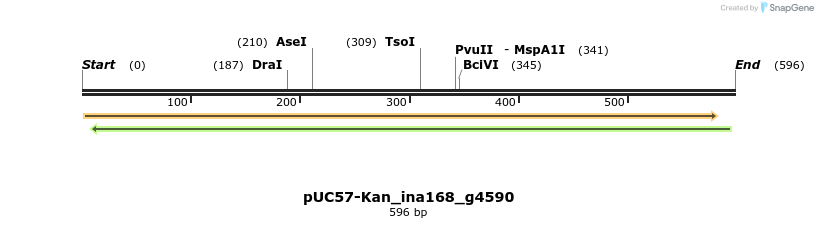 230986_map