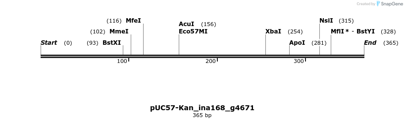 230988_map