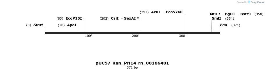 230990_map
