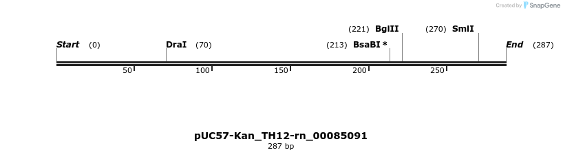 230992_map
