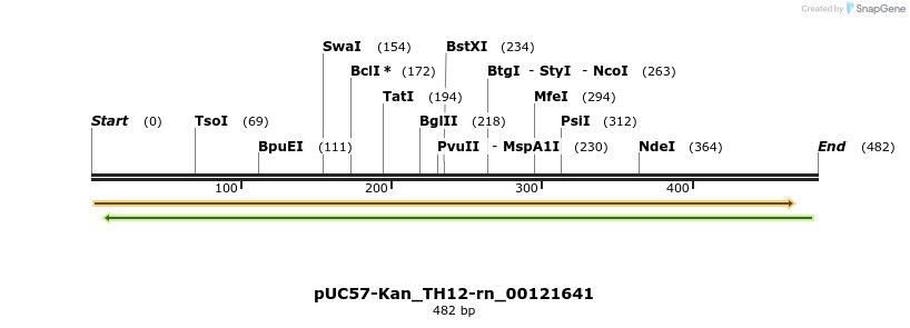 230994_map