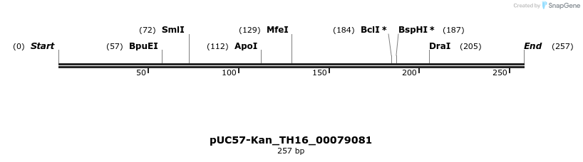 230996_map