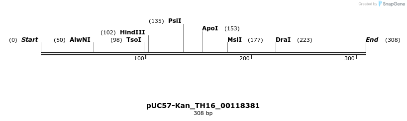 231000_map