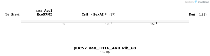 231004_map