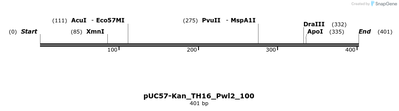 231006_map