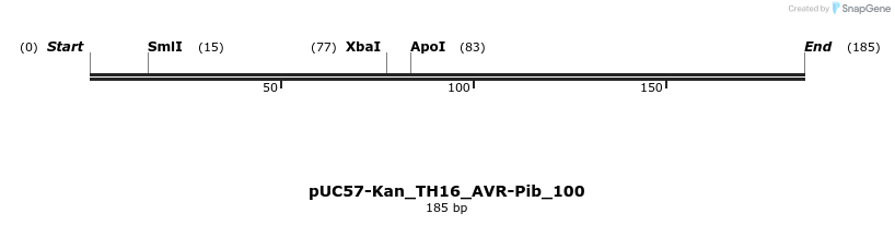231008_map
