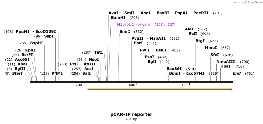 23101_map