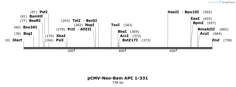 23104_map