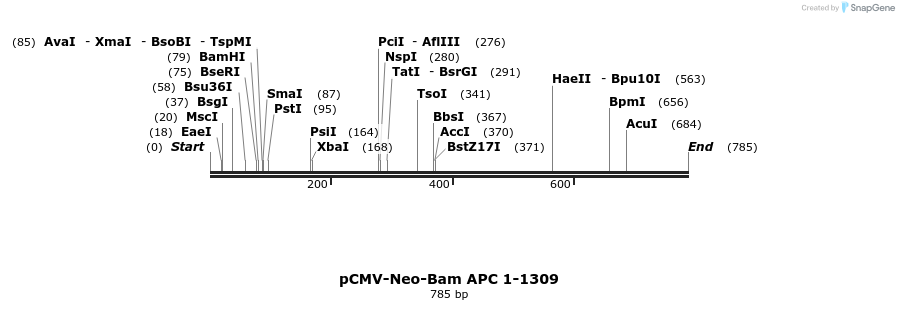 23105_map