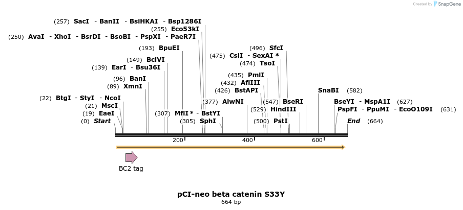 23109_map