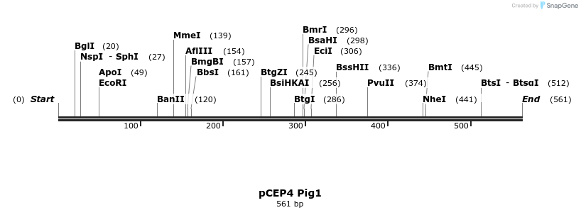 23113_map