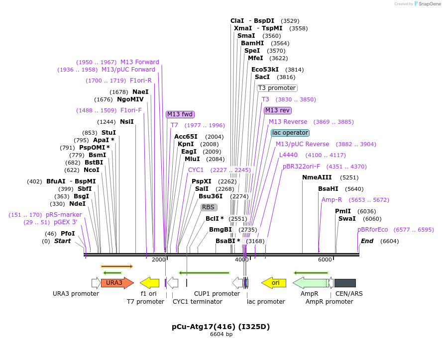 231179_map