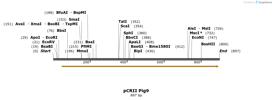 23118_map