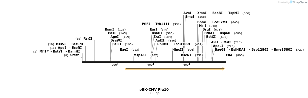 23119_map