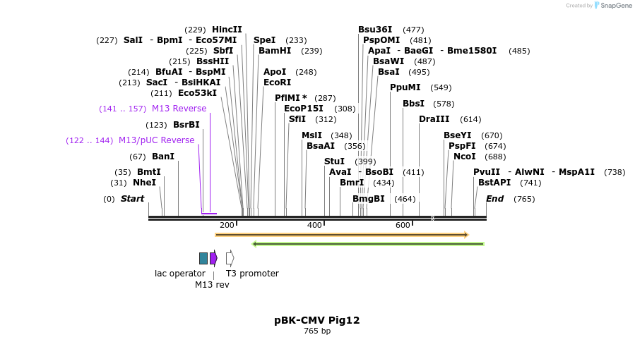 23121_map
