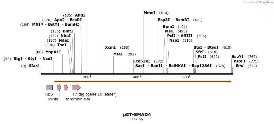 23122_map