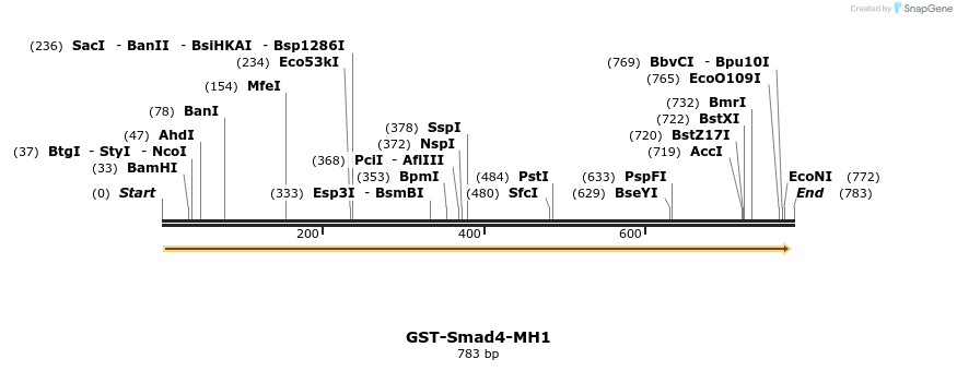 23123_map