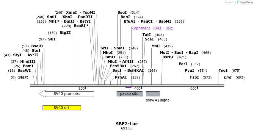 23127_map