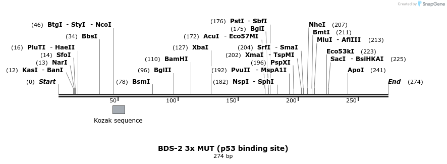 23136_map