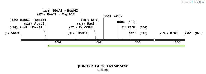 23137_map