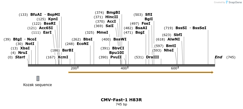 23140_map