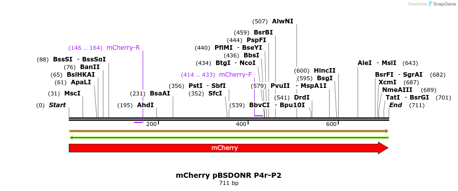 231493_map