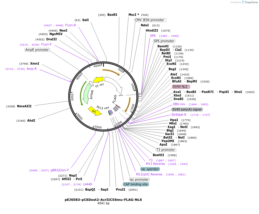 231532_map