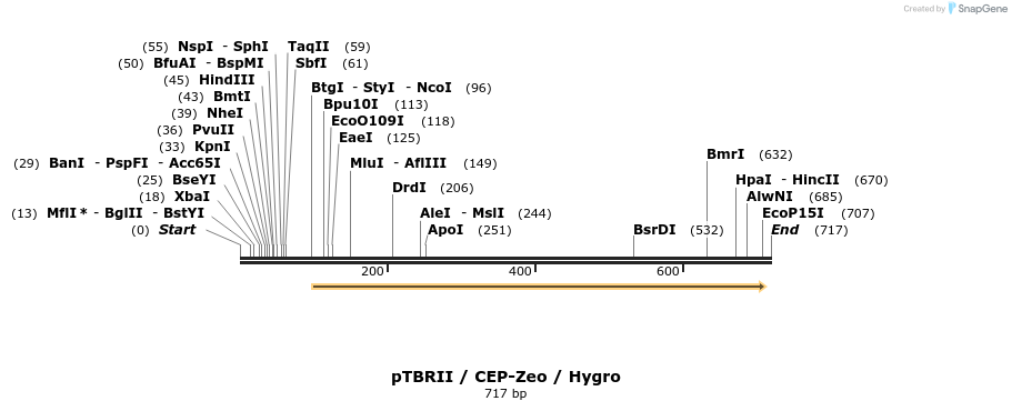 23166_map