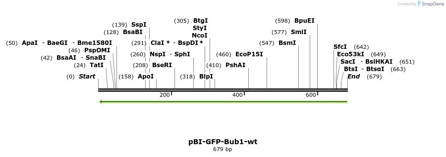 23168_map