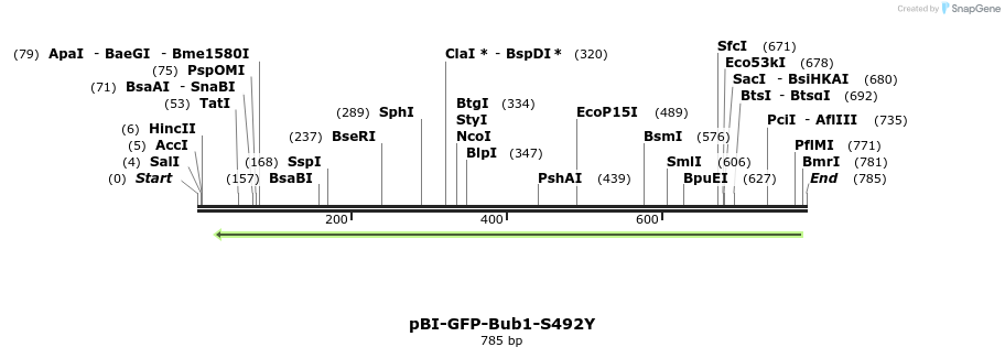 23169_map