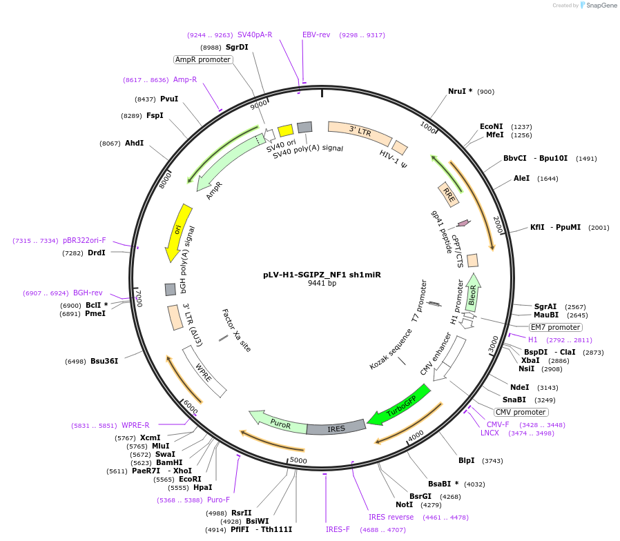 231704_map