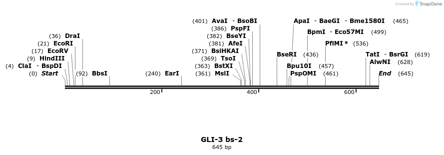 23172_map