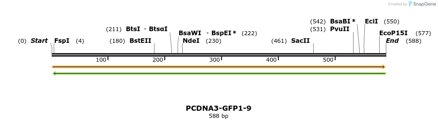 231756_map