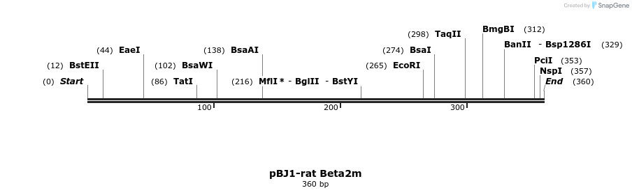 231787_map