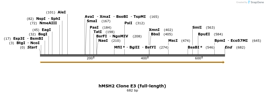 23185_map