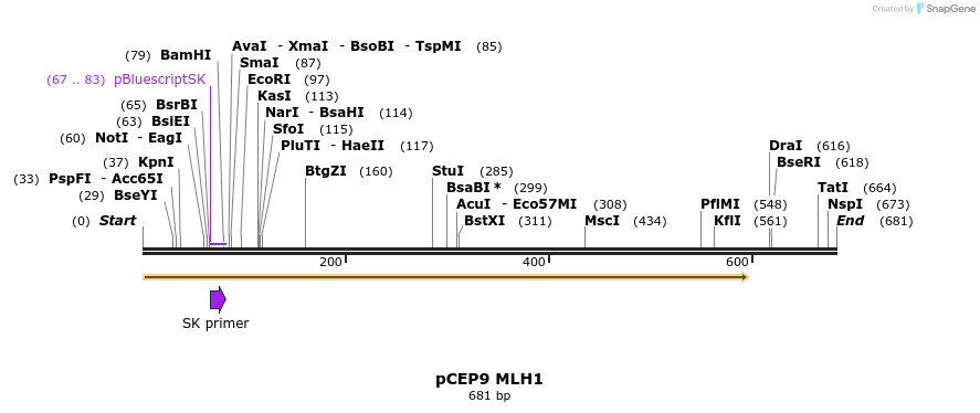 23198_map