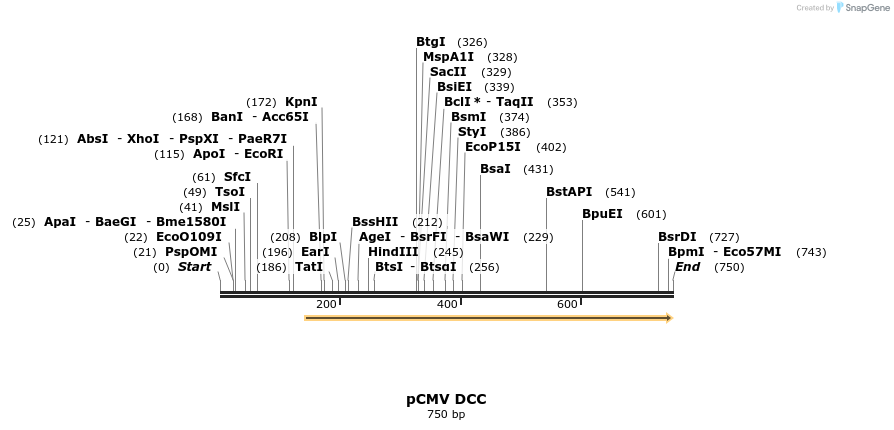 23199_map