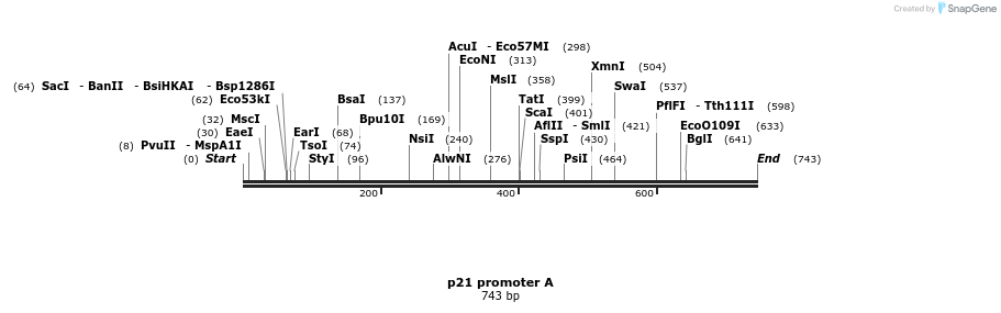 23203_map
