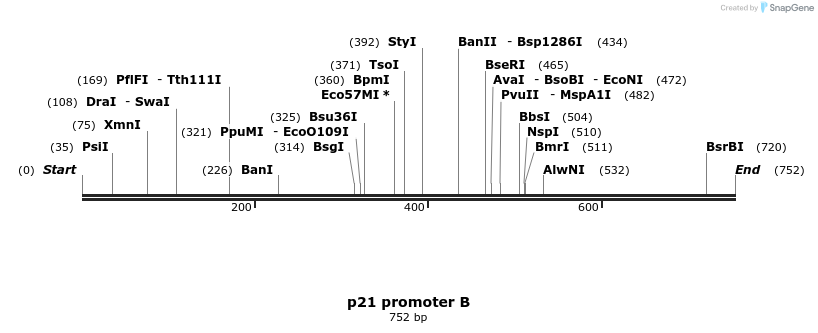 23204_map
