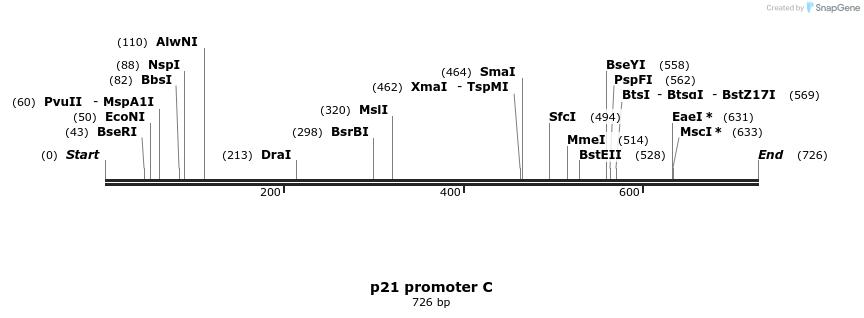 23205_map