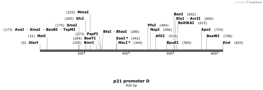 23206_map