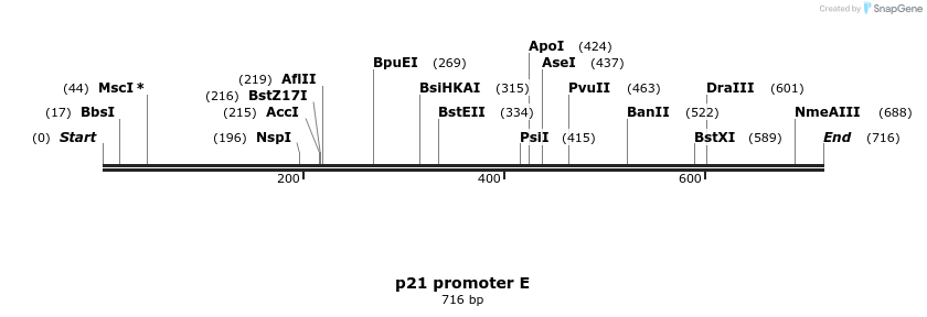 23207_map