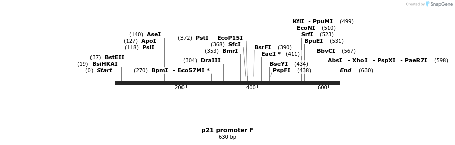 23208_map