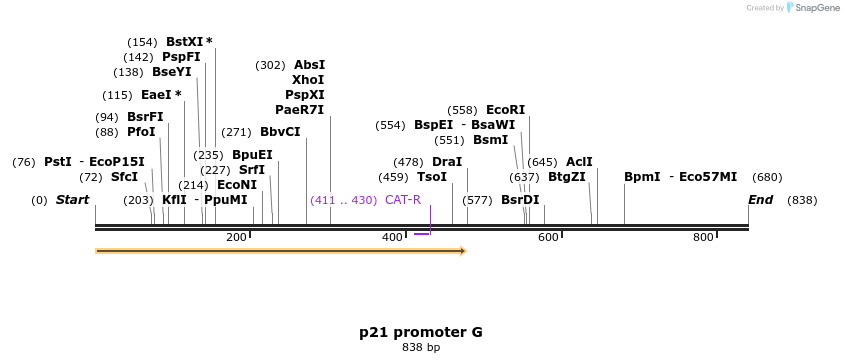 23209_map