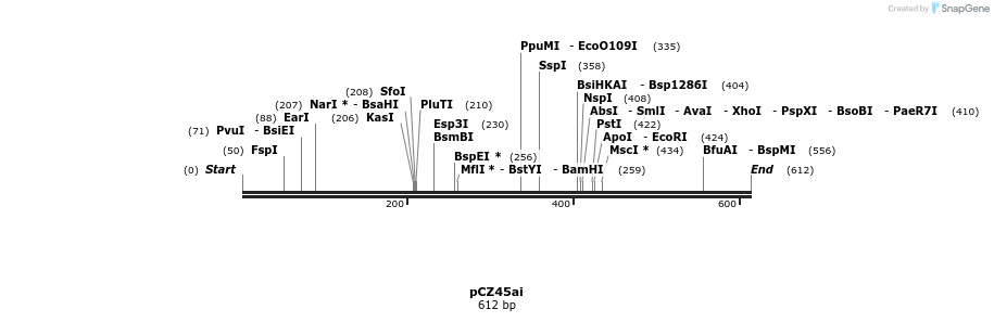 23212_map